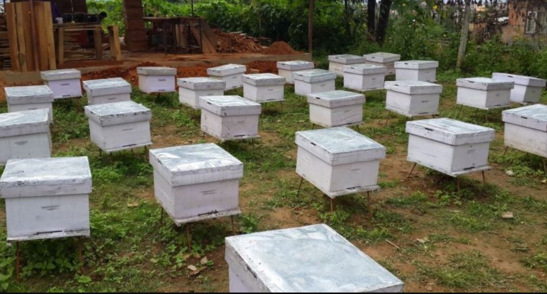 चितेपानी फाउन्डेशनद्वारा आमा समूहलाई २८ घार वितरण